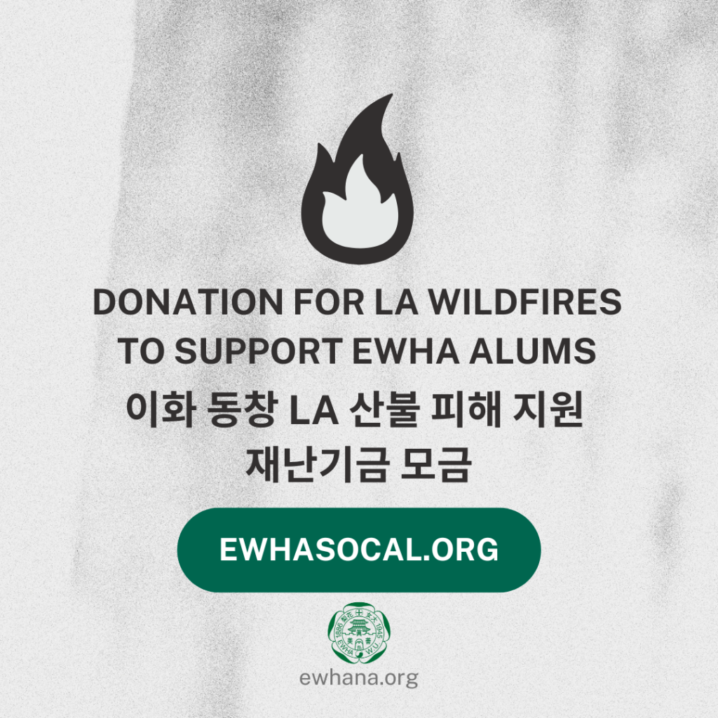 2025 LA Fire Donation